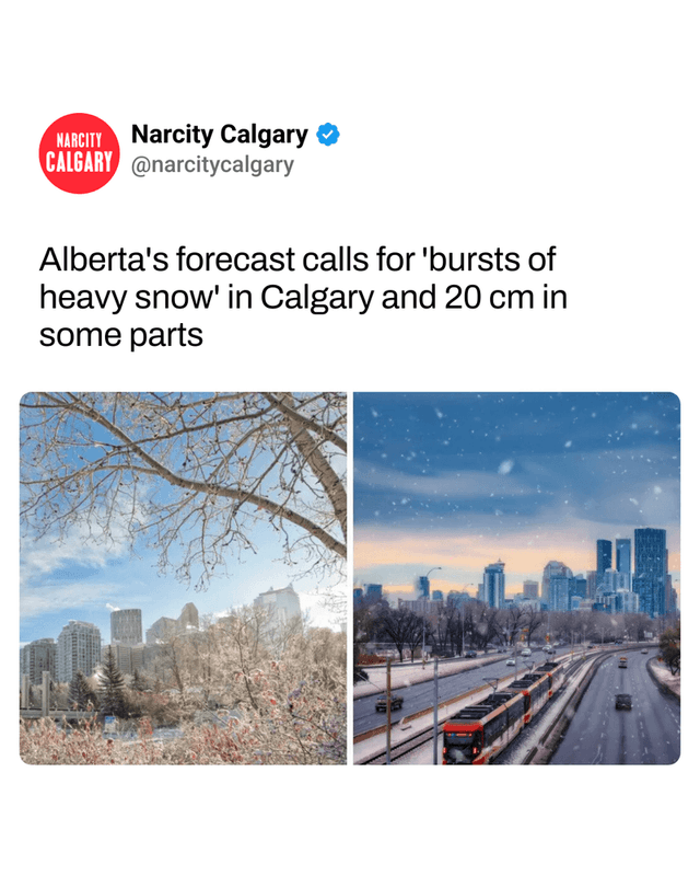 Alberta's forecast calls for 'bursts of heavy snow' in Calgary and 20 cm in some parts