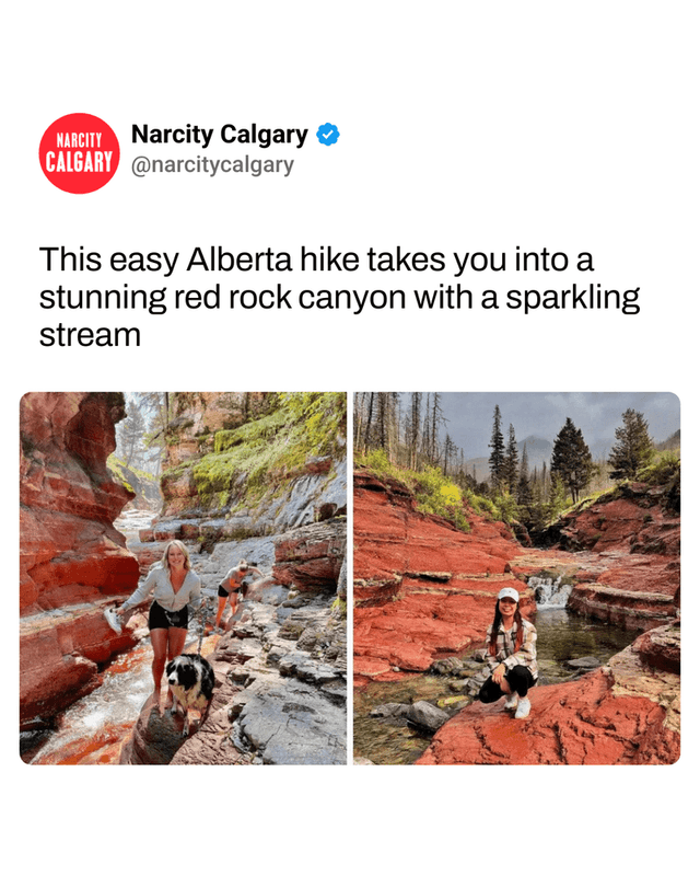 This easy Alberta hike takes you into a stunning red rock canyon with a sparkling stream