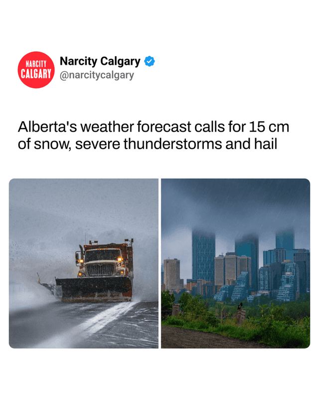 Alberta's weather forecast calls for 15 cm of snow, severe thunderstorms and hail