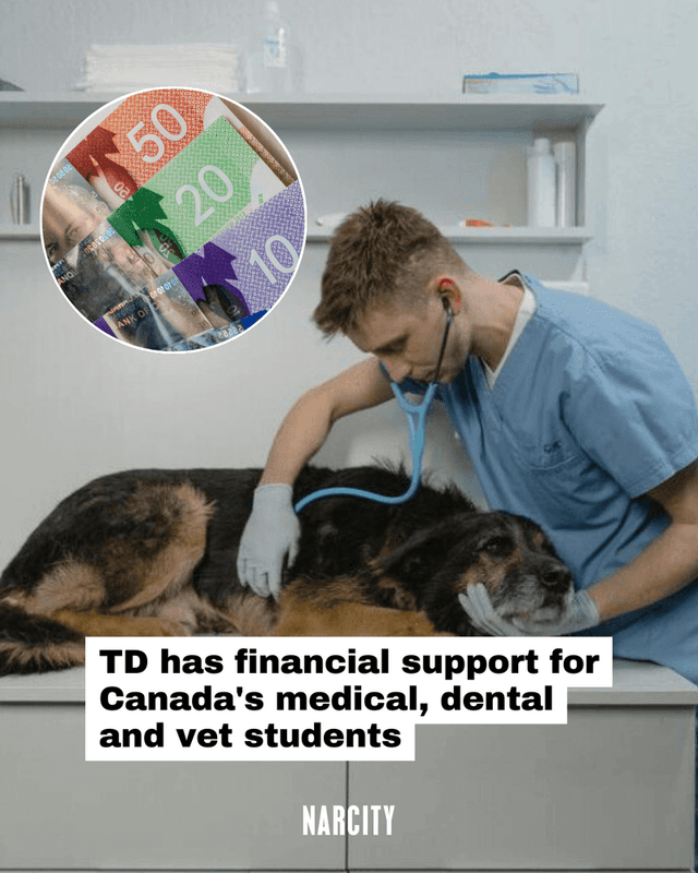 TD has financial support for Canada's medical, dental and vet students
