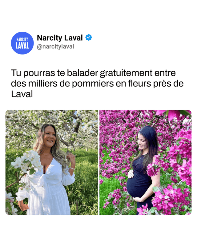 Tu pourras te balader gratuitement entre des milliers de pommiers en fleurs près de Laval
