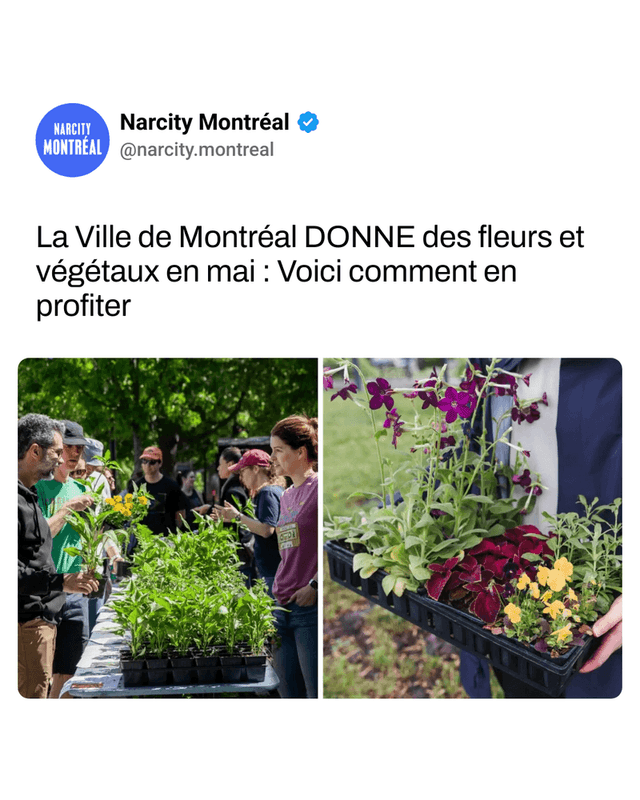 La Ville de Montréal DONNE des fleurs et végétaux en mai : Voici comment en profiter