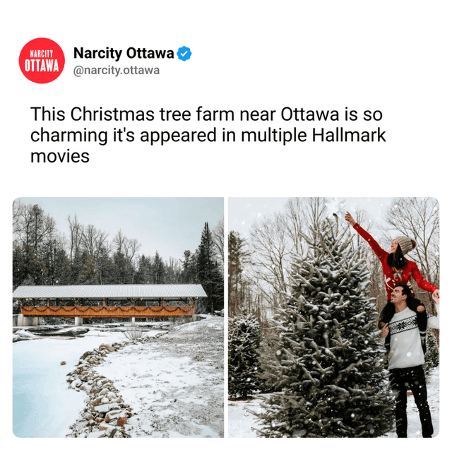 This Christmas tree farm near Ottawa is so charming it's appeared in multiple Hallmark movies