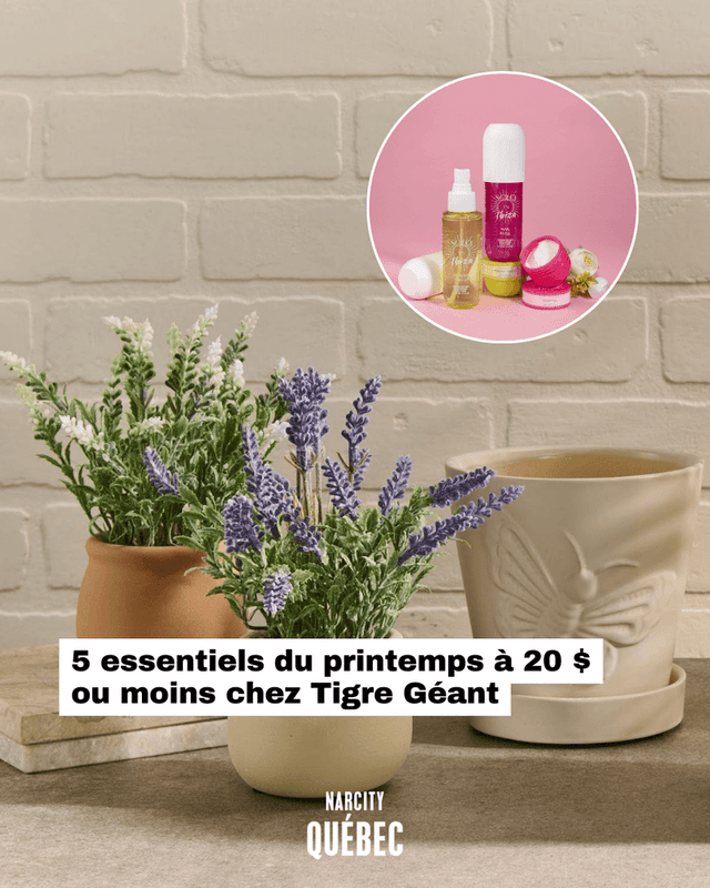 5 essentiels du printemps à 20 $ ou moins chez Tigre Géant