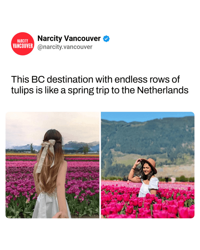 This BC destination with endless rows of tulips is like a spring trip to the Netherlands