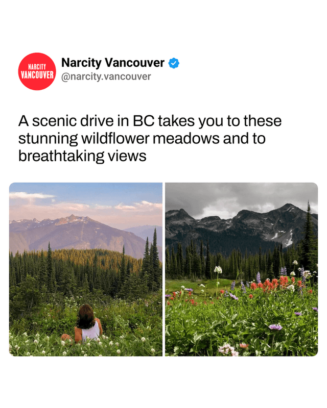 A scenic drive in BC takes you to these stunning wildflower meadows and to breathtaking views
