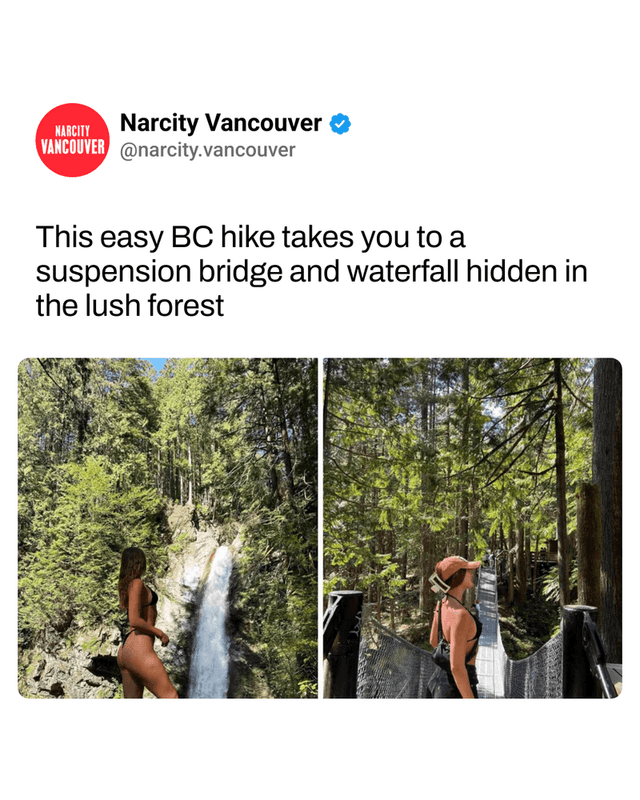 This easy BC hike takes you to a suspension bridge and waterfall hidden in the lush forest