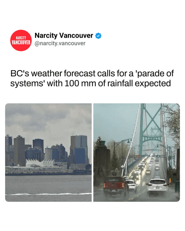 BC's weather forecast calls for a 'parade of systems' with 100 mm of rainfall expected